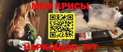 тгк Кингисепп