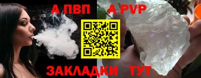 тгк Кингисепп