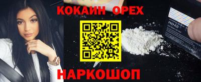 тгк Кингисепп