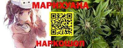 тгк Кингисепп