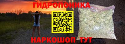 спайс Кинель