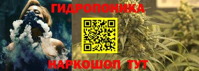 спайс Кинель