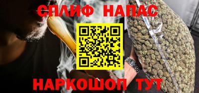 тгк Кингисепп