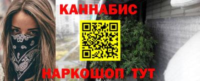 тгк Кингисепп