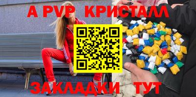 тгк Кингисепп