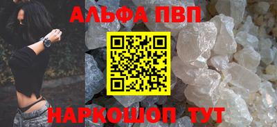 тгк Кингисепп