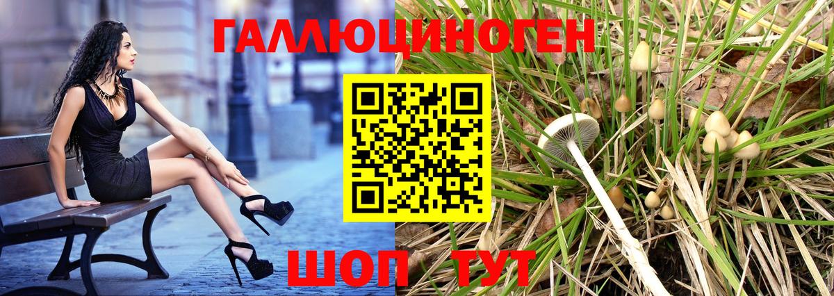 Псилоцибиновые грибы мухоморы  Вход с VPN  Арсеньев 